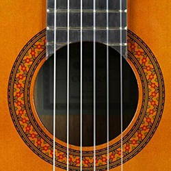 گیتار کلاسیک C40