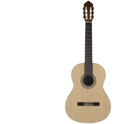 گیتار کلاسیک C40M